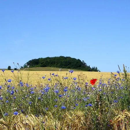 Mit Traumhaftem Meerblick - Haus Am 11 *